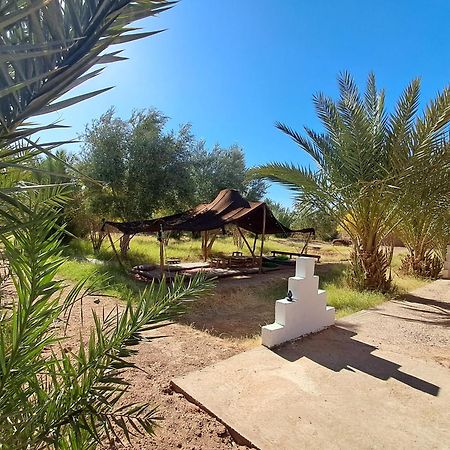 Jardin Du Desert M'Hamid Kültér fotó