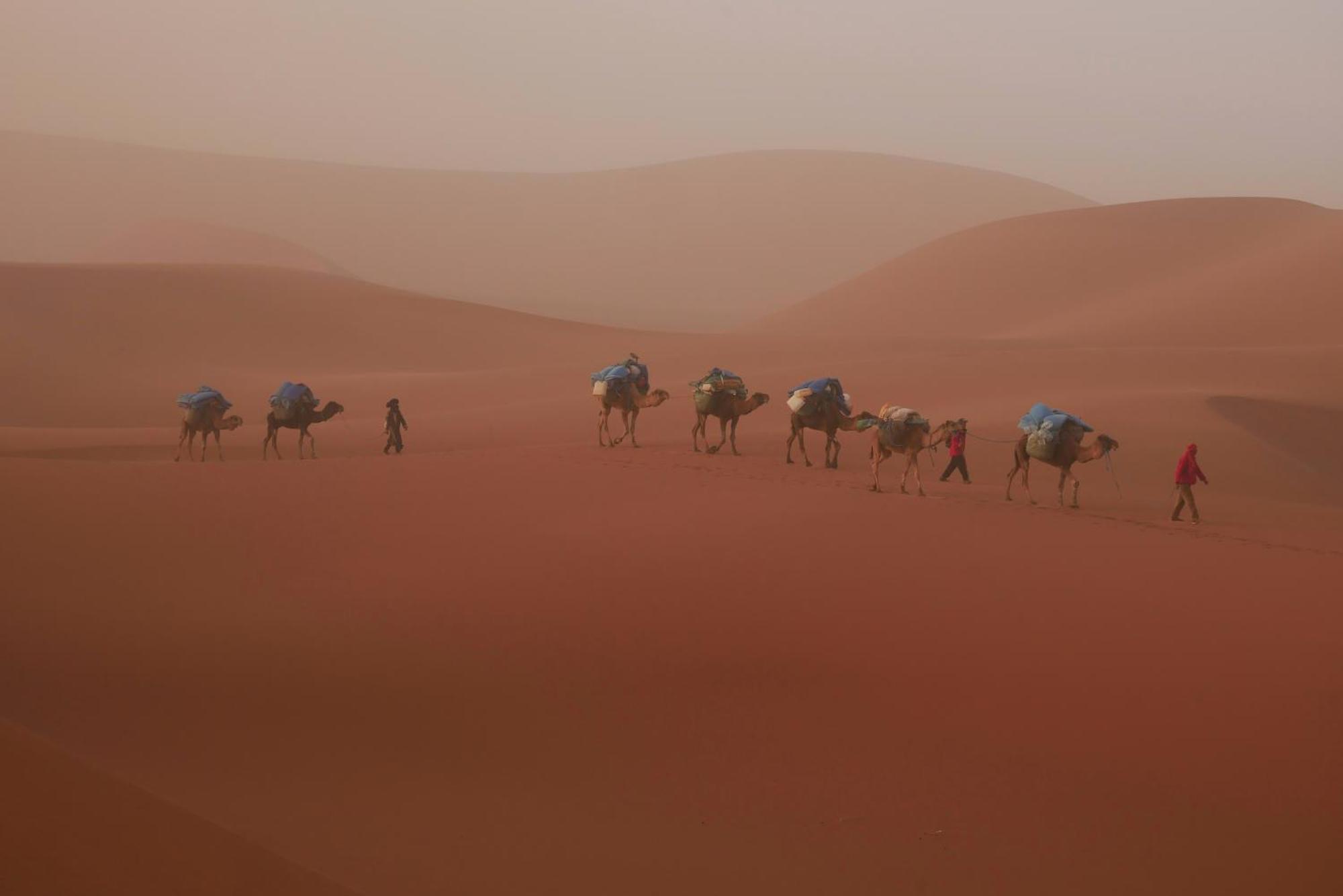 Jardin Du Desert M'Hamid Kültér fotó