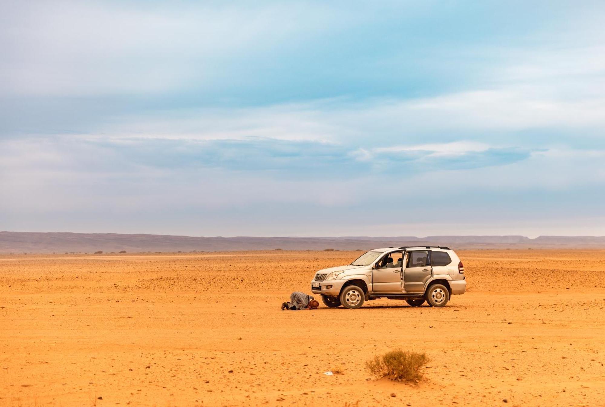 Jardin Du Desert M'Hamid Kültér fotó