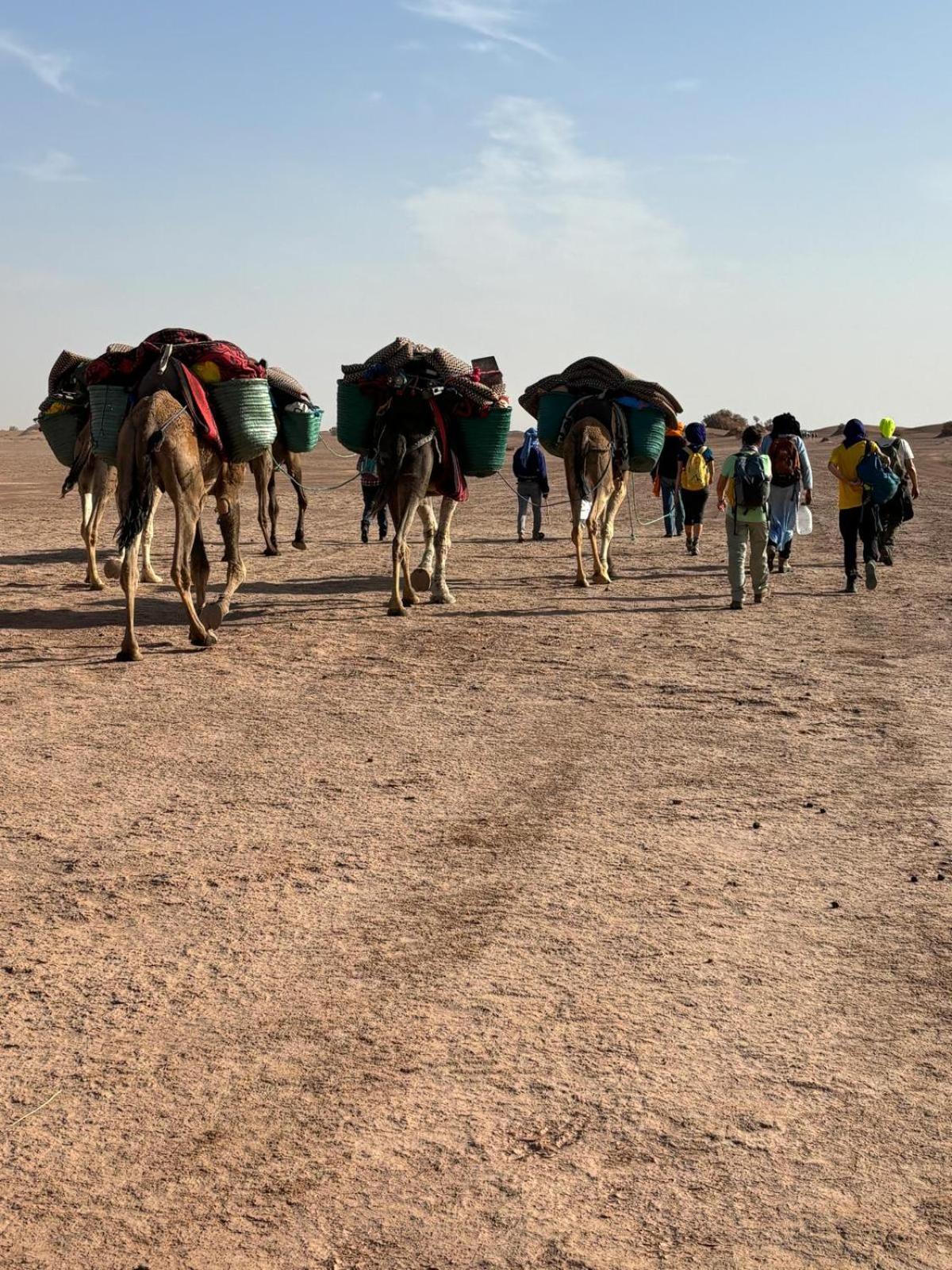 Jardin Du Desert M'Hamid Kültér fotó