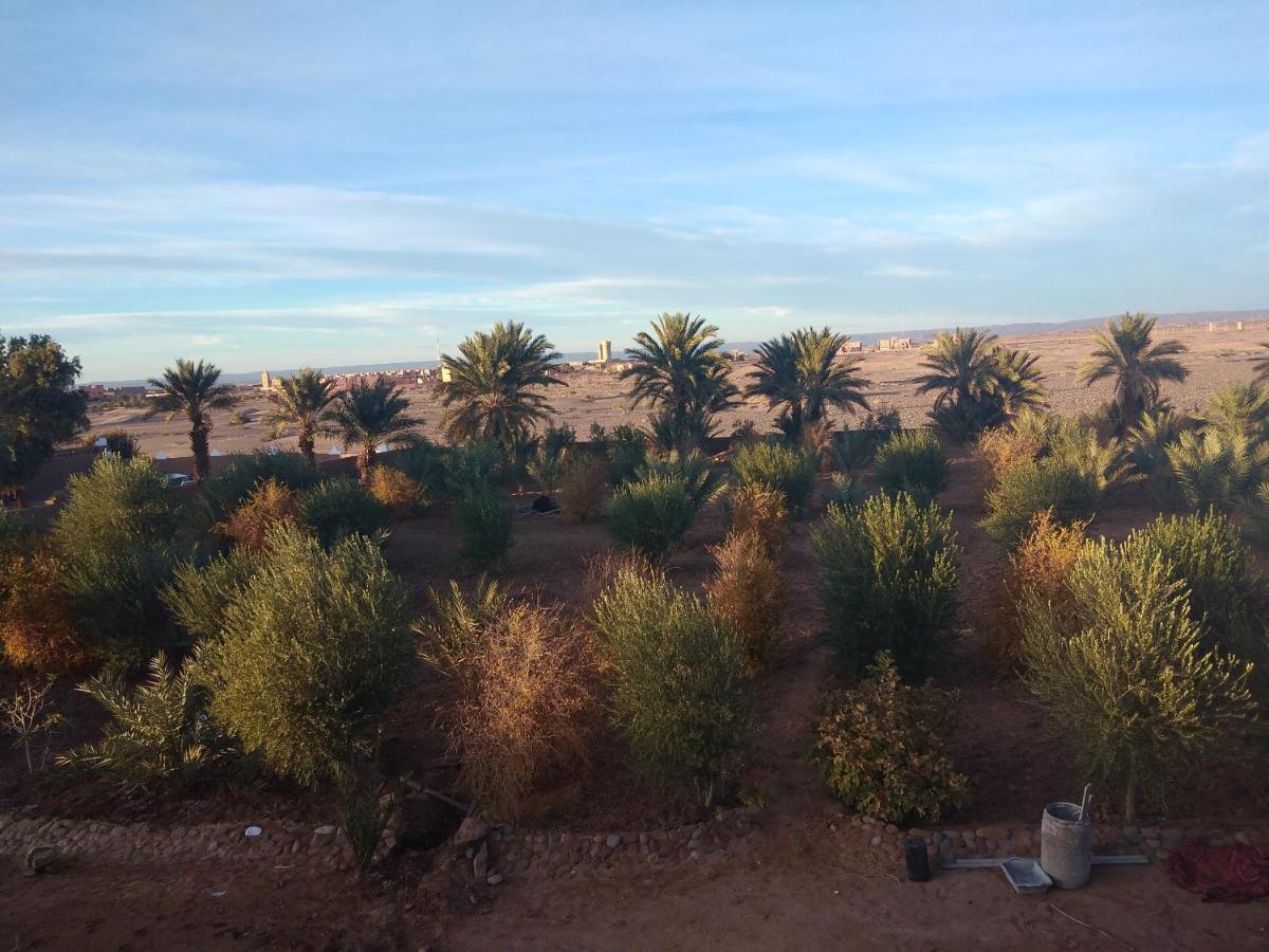 Jardin Du Desert M'Hamid Kültér fotó